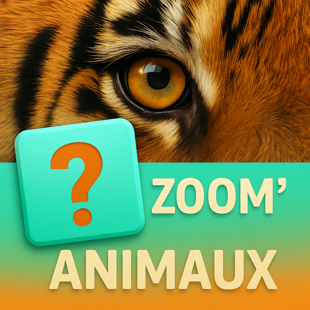 Zoom'animaux